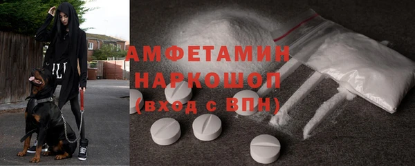 шишки Елизово