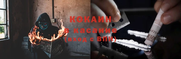 шишки Елизово
