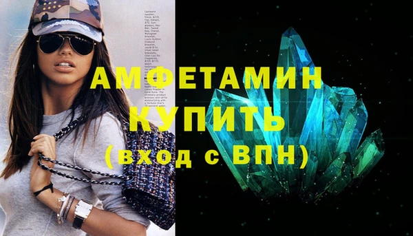 шишки Елизово
