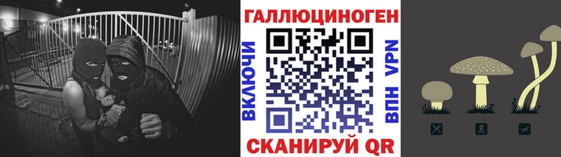 Псилоцибиновые грибы MAGIC MUSHROOMS  сколько стоит  Нязепетровск 
